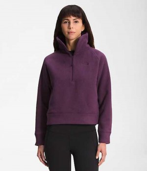 Mikina The North Face City Standard Damske Bordove | 6304852-FO