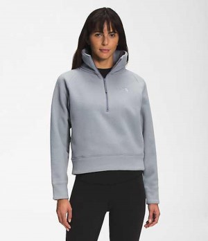 Mikina The North Face City Standard Damske Siva | 9068521-MQ