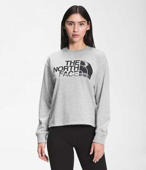 Mikina The North Face Recycled Expedition Grafika Damske Svetlo Siva | 9120374-KO