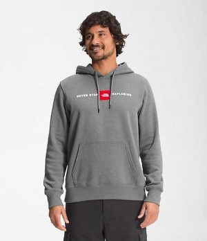 Mikina s Kapucnou The North Face Red's Pullover Panske Siva | 2148503-DH