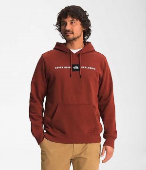 Mikina s Kapucnou The North Face Red's Pullover Panske Červené | 3971840-YP