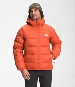 Paperova Bunda The North Face Hydrenalite Panske Červené | 9047628-OA