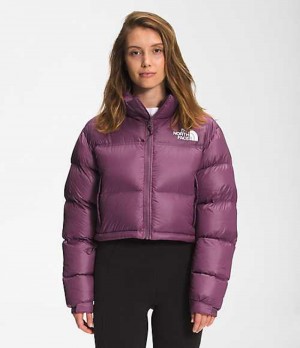 Paperova Bunda The North Face Nuptse Damske Nachový | 7306219-TP