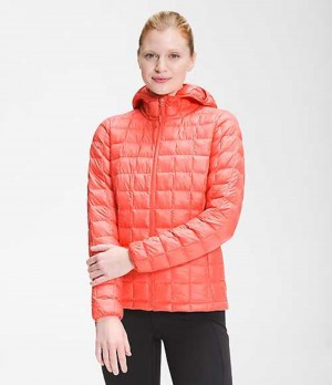 Paperova Bunda The North Face ThermoBall™ Eco Damske Oranžové | 4691503-ST