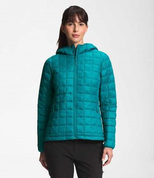 Paperova Bunda The North Face ThermoBall™ Eco Damske Tyrkysové | 1560973-DY