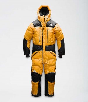 Snowboardové Nohavice The North Face Himalayan Panske Zlate Čierne | 2503694-QW