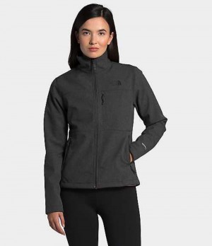 Softshellová Bunda The North Face Apex Bionic Damske Siva | 4718526-XL