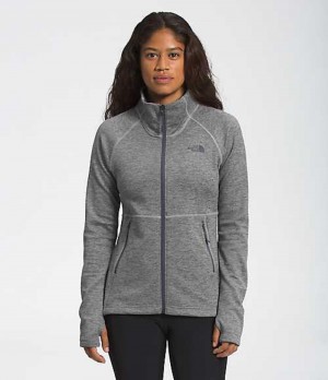 Softshellová Bunda The North Face Canyonlands Damske Siva | 2487035-BP