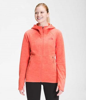 Softshellová Bunda The North Face Canyonlands Damske Oranžové | 0293185-KR