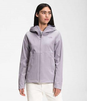 Softshellová Bunda The North Face Shelbe Raschel Damske Siva | 4931076-UF