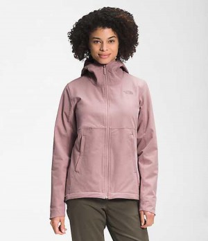 Softshellová Bunda The North Face Shelbe Raschel Damske Nachový | 8495216-EA