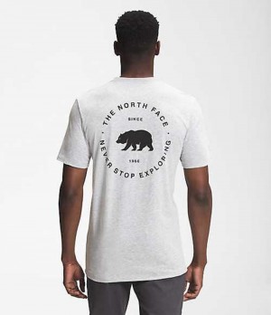 Tricko The North Face Bear NSE Panske Svetlo Siva | 1038752-TU