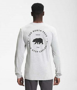 Tricko The North Face Bear NSE Panske Svetlo Siva | 1673920-CZ