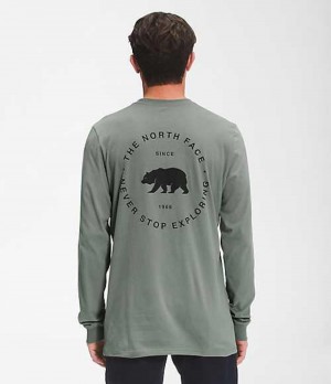 Tricko The North Face Bear NSE Panske Zelene | 2537904-VI