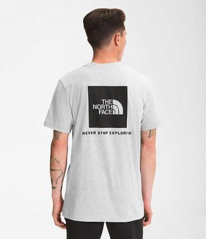 Tricko The North Face Box NSE Panske Svetlo Siva | 7435296-VN