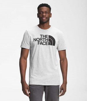 Tricko The North Face Half Dome Panske Svetlo Siva | 2530914-CX