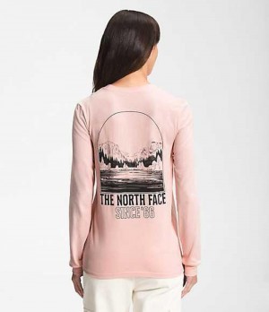 Tricko The North Face Mountain Damske Hnede Ruzove | 2468905-FQ