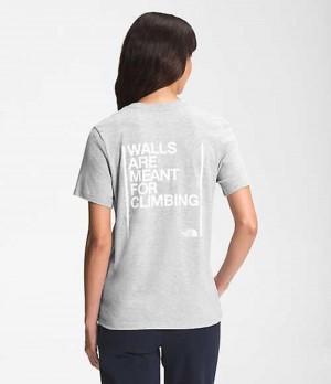 Tricko The North Face Walls Damske Svetlo Siva | 4529168-PI