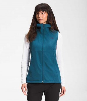 Vesta The North Face Shelbe Raschel Damske Modre | 4692315-LT