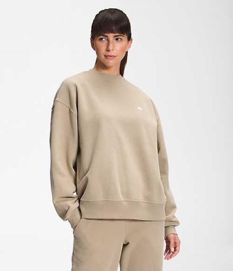 Mikina The North Face City Standard Damske Siva | 8015374-PV