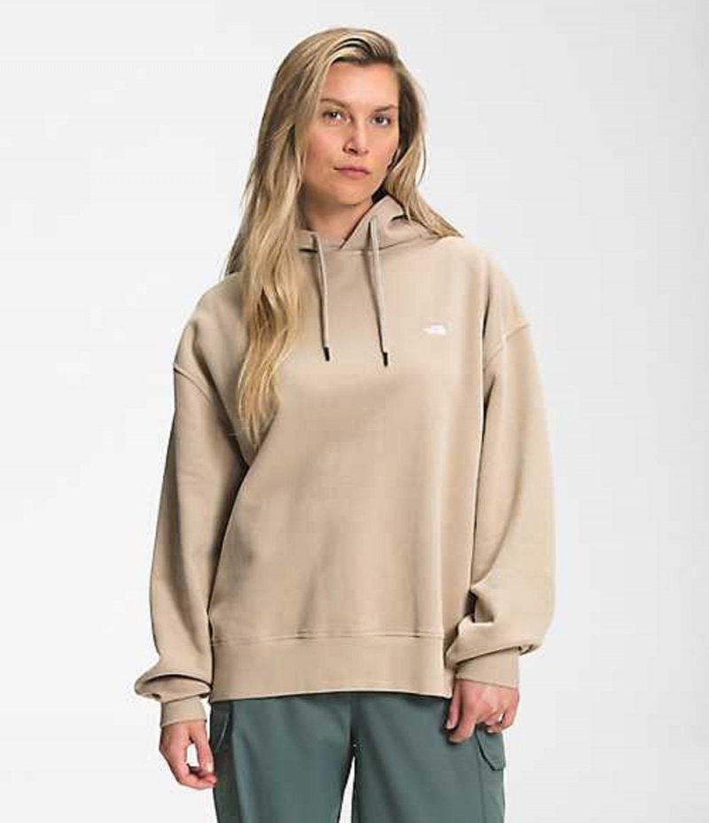 Mikina s Kapucnou The North Face City Standard Damske Siva | 7051863-OX