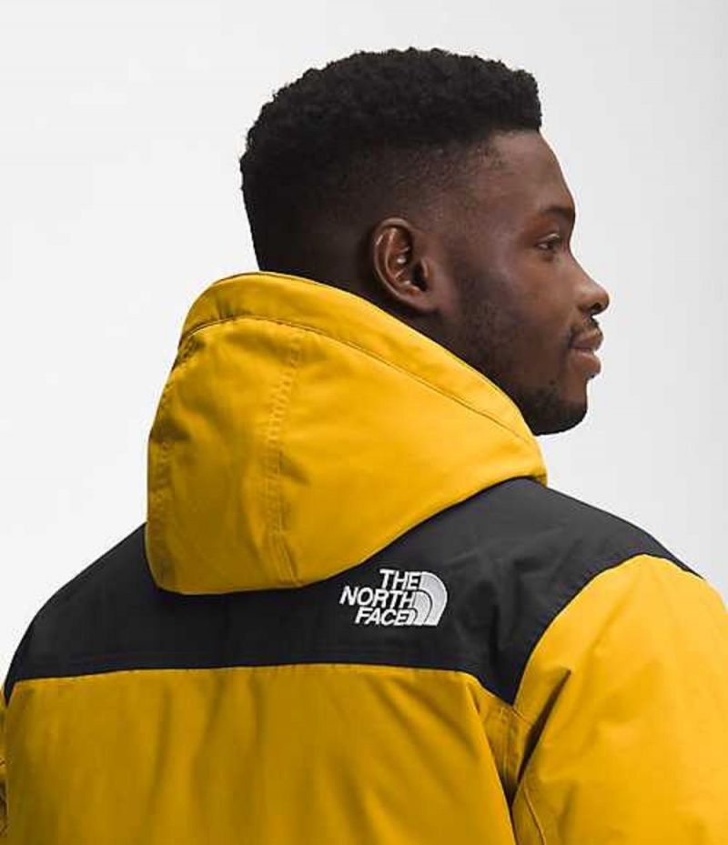 Paperova Bunda The North Face Gotham Panske Žlté | 2578014-GY