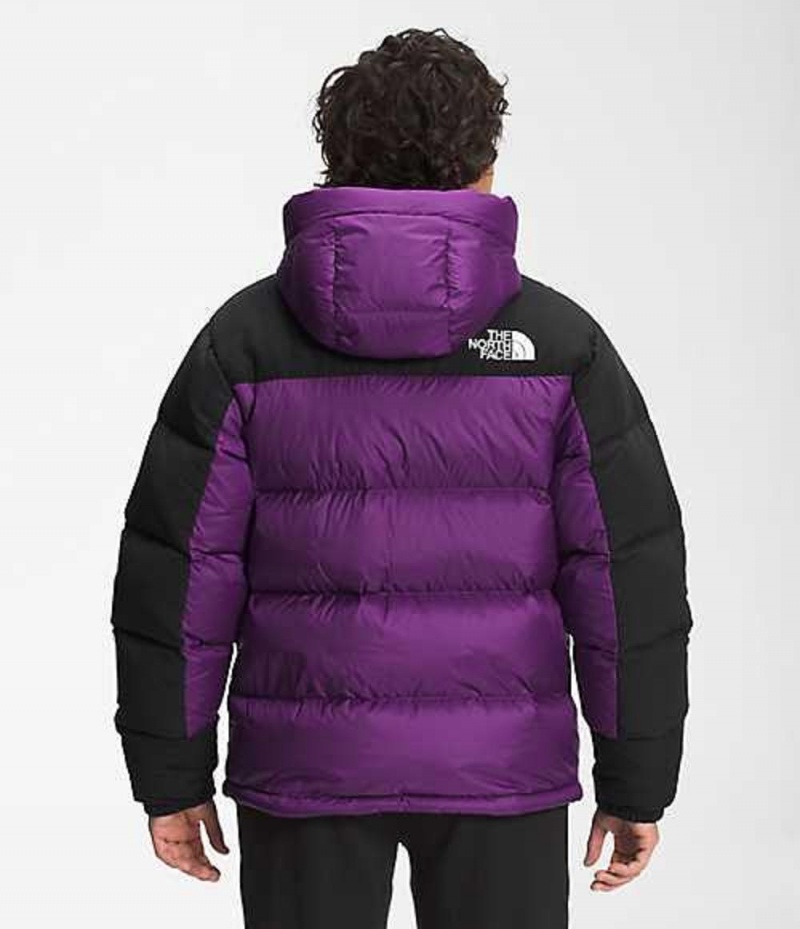 Paperova Bunda The North Face HMLYN Panske Nachový | 7256941-CU