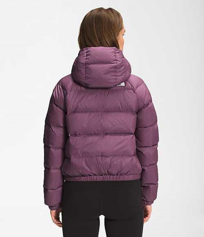 Paperova Bunda The North Face Hydrenalite Damske Nachový | 7538169-RN