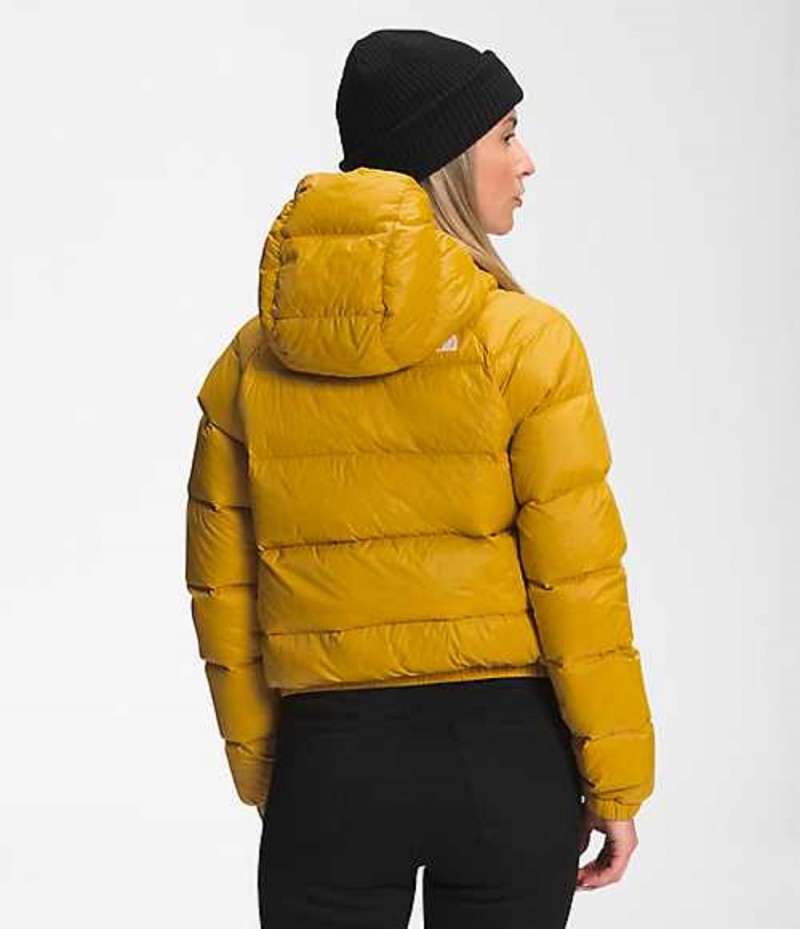 Paperova Bunda The North Face Hydrenalite Damske Žlté | 8061935-QX