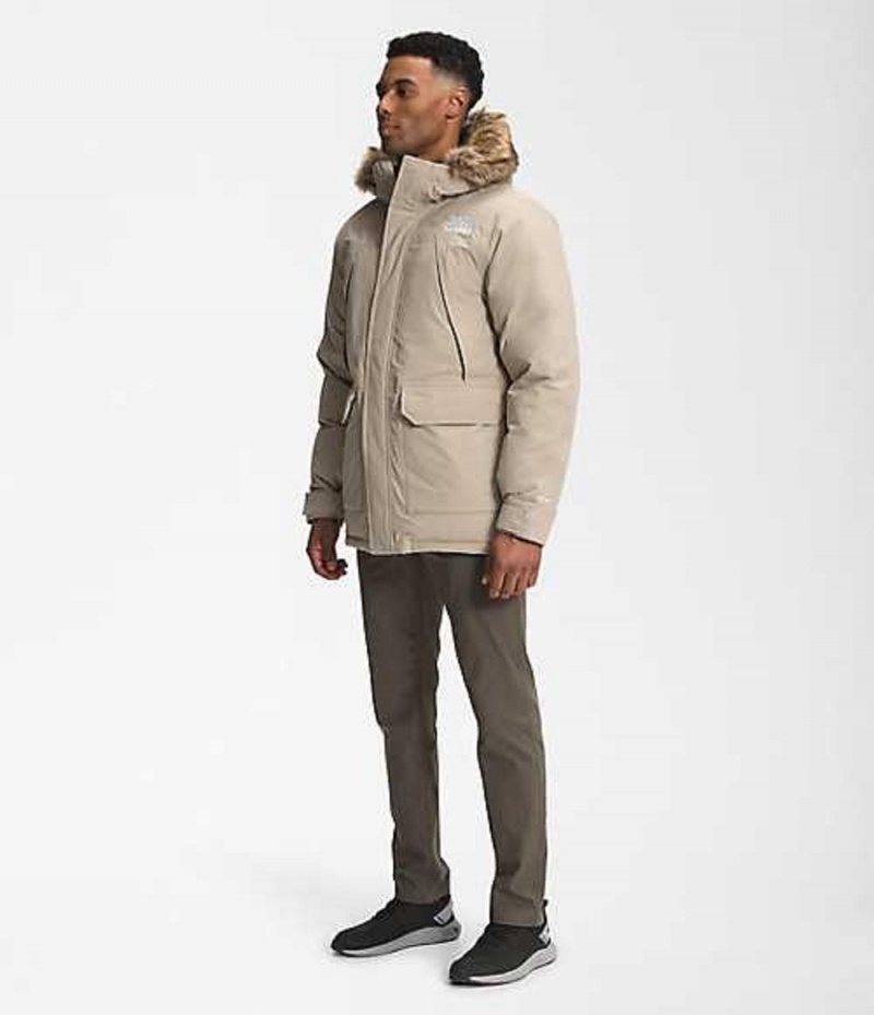 Paperova Bunda The North Face McMurdo Panske Siva | 6197583-DR