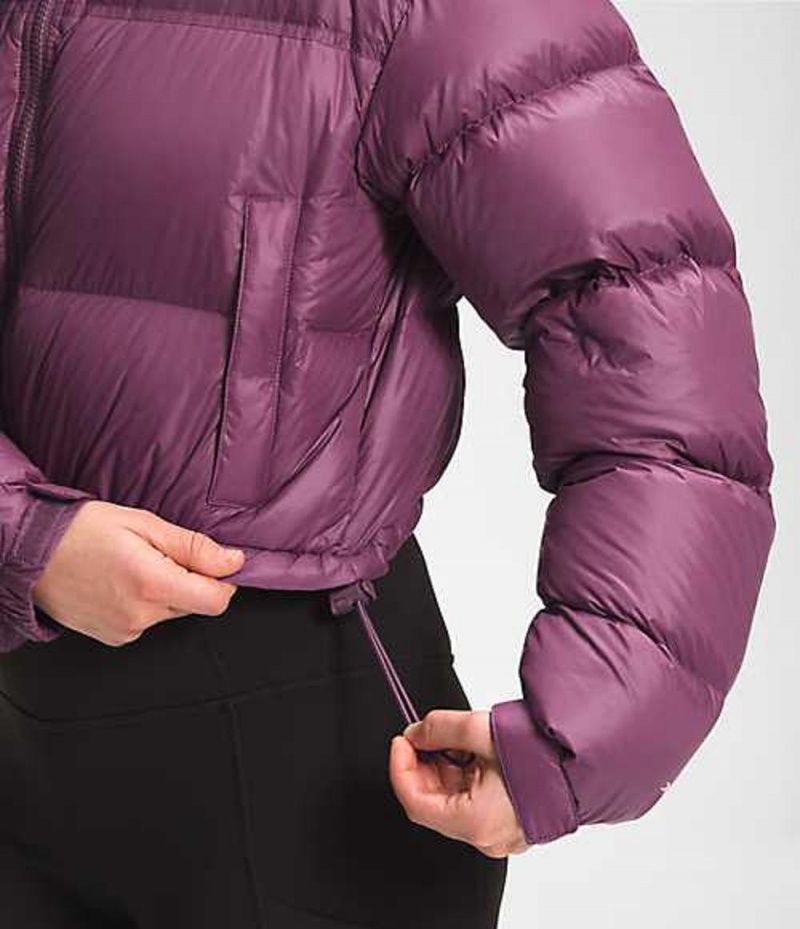 Paperova Bunda The North Face Nuptse Damske Nachový | 7306219-TP