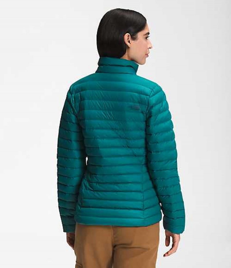 Paperova Bunda The North Face Stretch Damske Tyrkysové | 6981074-BJ