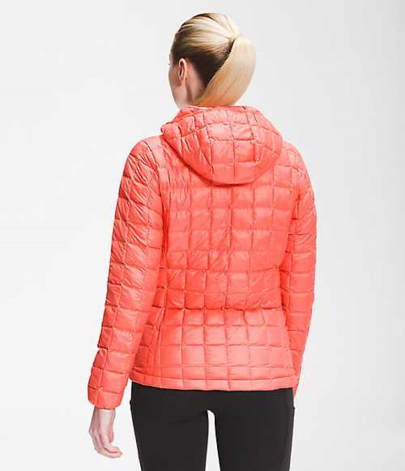 Paperova Bunda The North Face ThermoBall™ Eco Damske Oranžové | 4691503-ST