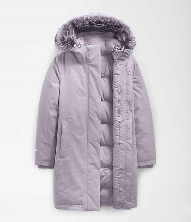 Parka The North Face Arctic Damske Siva | 2946817-JK