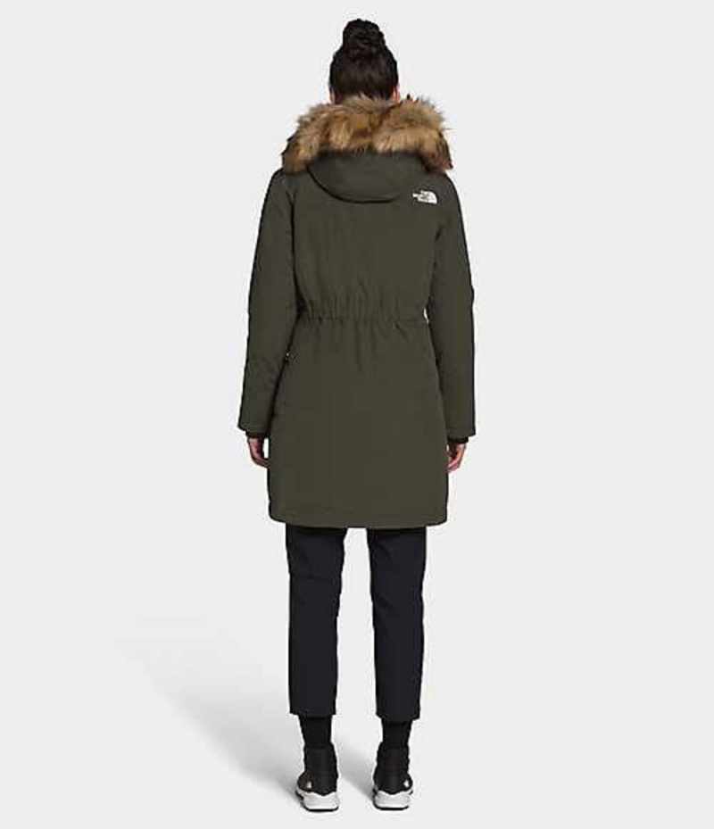 Parka The North Face Arctic Damske Siva Hnede | 6583079-PI