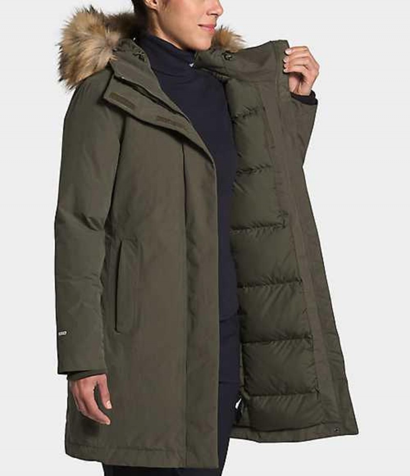 Parka The North Face Arctic Damske Siva Hnede | 6583079-PI