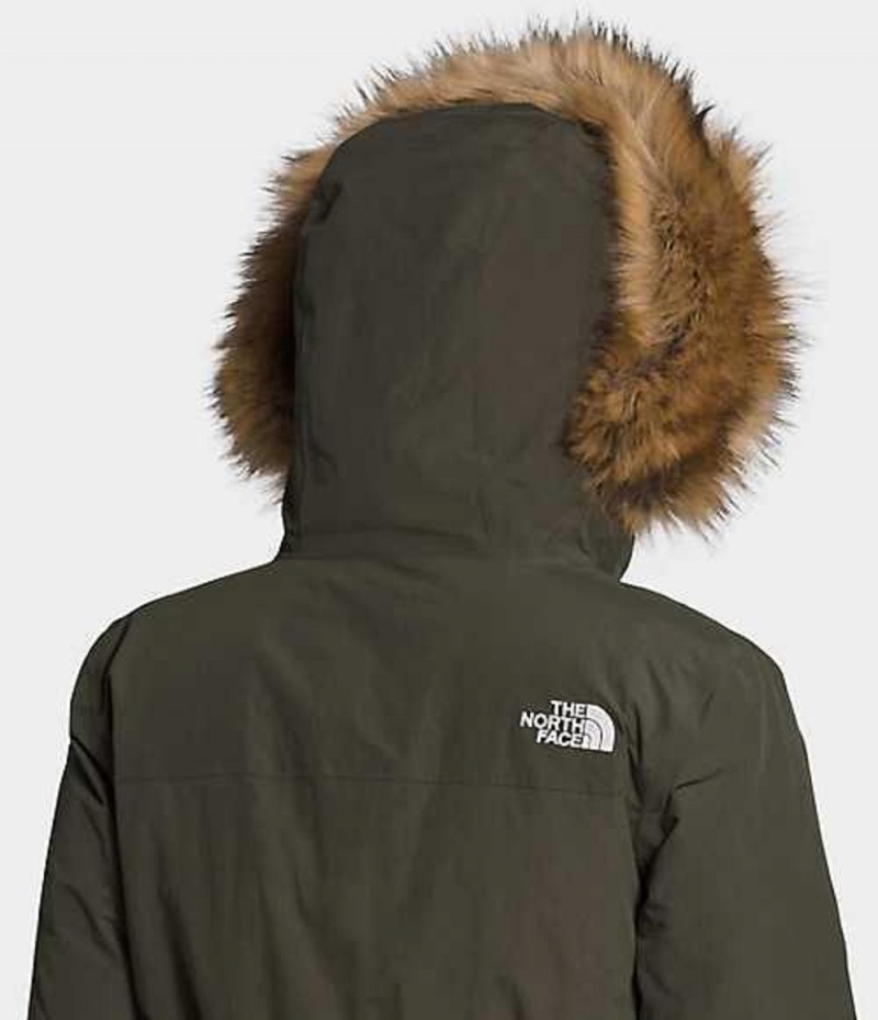 Parka The North Face Arctic Damske Siva Hnede | 6583079-PI