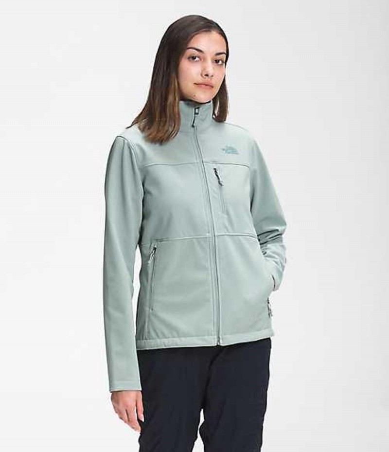 Softshellová Bunda The North Face Apex Bionic Damske Strieborne Modre | 9425318-MA