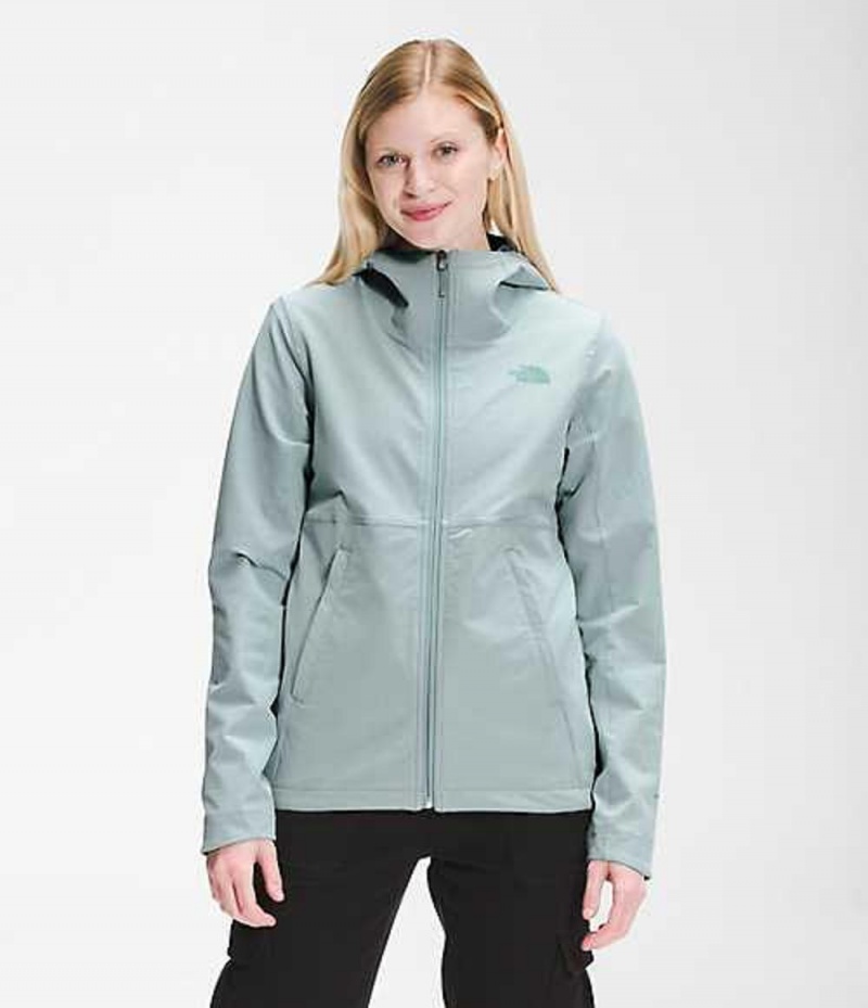 Softshellová Bunda The North Face Shelbe Raschel Damske Strieborne Modre | 0574931-DT